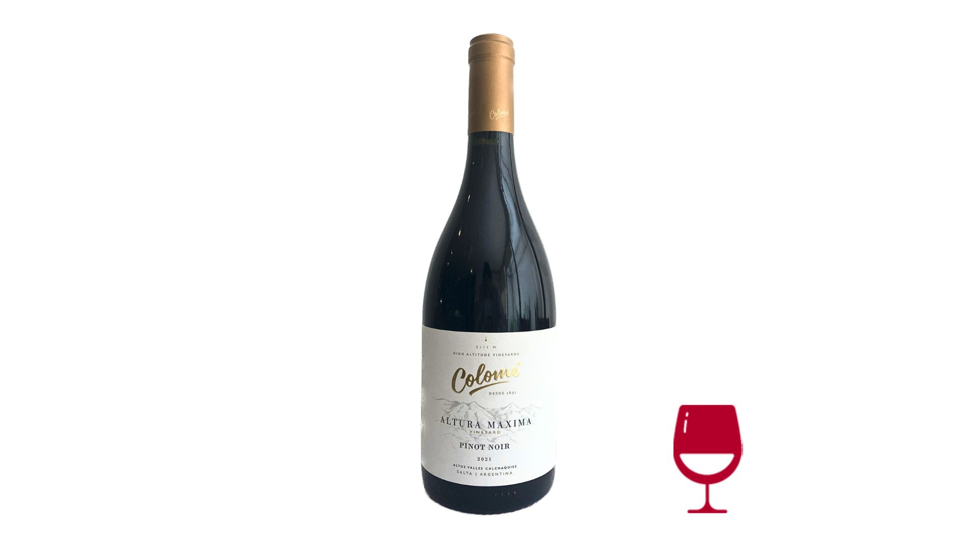Colomé Alt. Máxima Pinot Noir